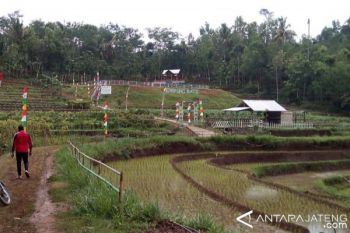 Purbalingga intensifkan Kampung KB
