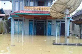 Ribuan Rumah Kecamatan Teweh Baru Terendam Banjir 