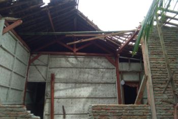 BPBD: Satu Meninggal Tertimpa Pohon Tumbang 