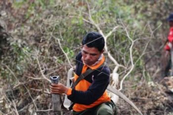 Mahalnya Menjaga Hutan Indonesia