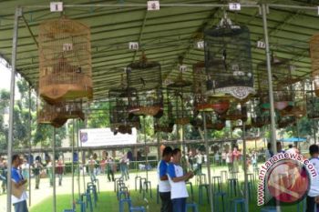 Wako Inginkan Lomba Burung Berkicau Masuk Agenda Tahunan Pariwisata