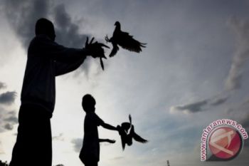 BKSDA lepaskan puluhan burung ke habitatnya