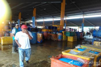 PAD sektor perikanan Kota Pekalongan ditargetkan Rp6 miliar