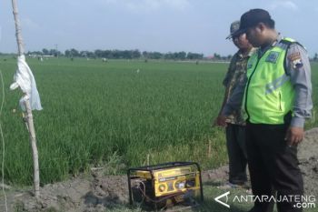 Pemkab: Pembasmian Tikus Tidak Perlu Pakai Setrum 