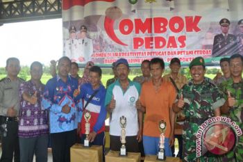 Pacu Kreativitas Petani Kotim Melalui Kegiatan "Lombok Pedas" 
