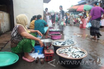 Hasil Tangkapan Nelayan Probolinggo Minim, Ikan Dipasok dari Luar