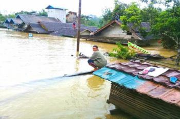 Waduh! Banjir Bandang di Kecamatan Teweh Timur Meluas