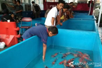 Pemkab Kudus Dukung Desa Wisata Ikan Hias