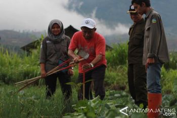 Untidar Tanam 1.000 Pohon di Kledung 
