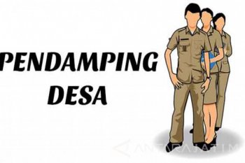 Berikut cara dan syarat jadi pendamping desa PLD