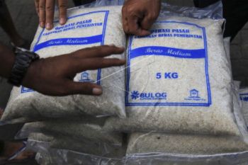 Bulog akan giatkan peningkatan kualitas produksi beras