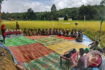Mukomuko bangung JUT bagi petani