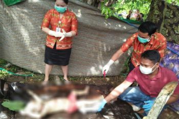 5 Hari Dicari, Adelianata Ditemukan Tewas di DAS Kahayan