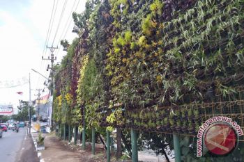 Manado Bangun 11 Taman Senilai Rp3,3 Miliar 