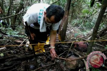 Agam Teliti Raflesia Langka, Datangkan Ahli dari Bengkulu