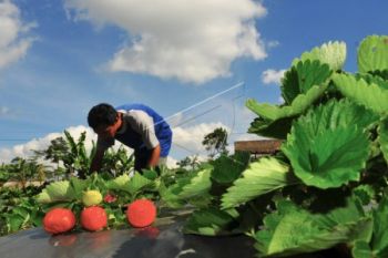Jual paket wisata, 18 desa wisata di Purbalingga didorong terus berinovasi