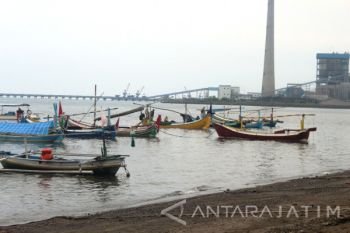 Ubur-Ubur Penuhi Perairan Utara Probolinggo Menguntungkan Nelayan