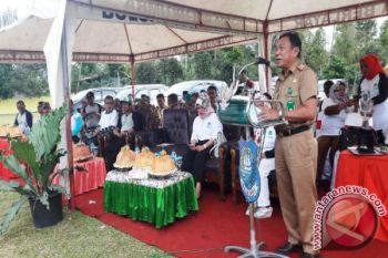 DLHK Bulukumba Sosialisasikan Program Kampung Iklim