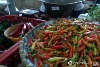 Terus melejit, harga cabai di Solo