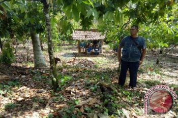 10 hari buron, Santo akhirnya diciduk Polres Tolitoli
