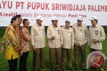 Pusri genjot efisiensi pabrik tingkatkan daya saing