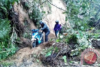 Hujan Sehari, Enam Kecamatan di Agam Dilanda Longsor dan Pohon Tumbang