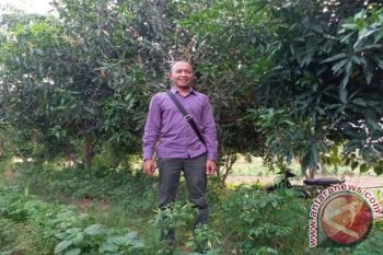 Politisi Nasdem Beri Alat Pertanian Pada Petani Sigi