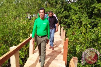 DPPU Minangkabau Bangun Tracking Mangrove di Pariaman