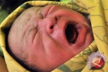 Bayi perempuan ditemukan di tempat sampah gereja