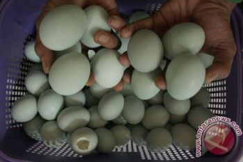UKM Bantul produksi telur asin aneka rasa