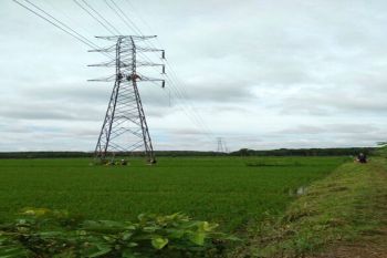 PLN Lampung Normalkan Pasokan Listrik 