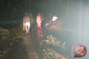 42 Kelompok Siaga Bencana Bantu Penanggulangan Bencana di Agam