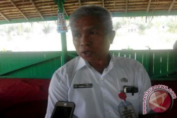 11 rekomendasi Rakerwil Apeksi regional Kalimantan