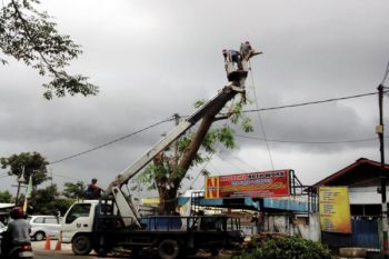 Distanakbunhut Bandarlampung Pangkas Pohon Cegah Tumbang 