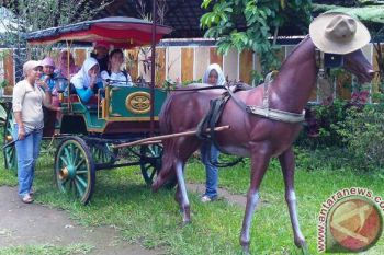 Alokasi dana desa di Sumsel meningkat