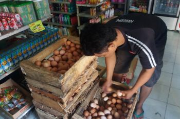 Jelang Natal, harga telur di Solo naik Rp1.000/kg