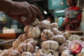 Bawang putih berpotensi langka karena importir enggan menanam