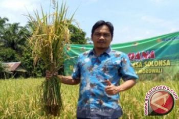Stok Beras Di Tolitoli Cukup
