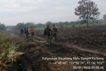 Duh! Kebakaran Lahan Gambut Kembali Terjadi di Sampit