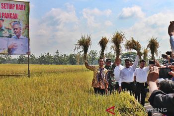 Mentan: Stok gabah Jateng surplus
