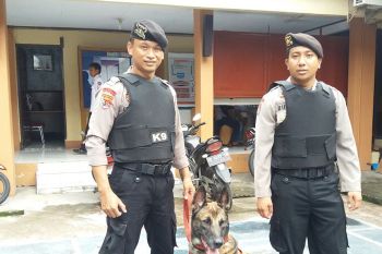 Dua anjing pelacak siaga di KPU Sulsel