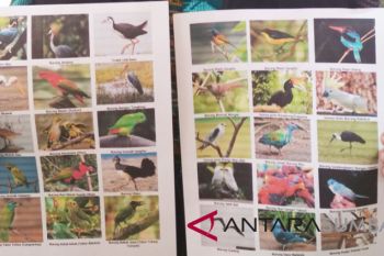 Sebelum dipidana, mari serahkan burung yang dilindungi