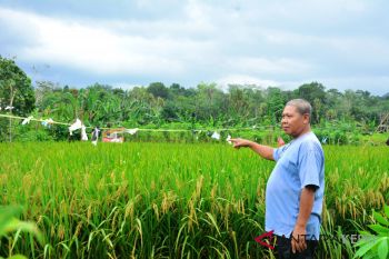 Pencurian dan pencabulan kasus terbanyak di Lingga