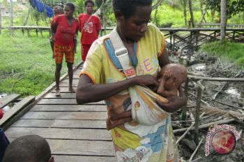 Penanganan stunting di Papua terkendala terbatas kader dan sinyal