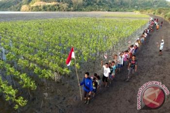 menikmati berkah hutan mangrove