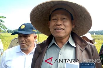 Selama menguntungkan, Bulog dipersilakan serap gabah secara komersial