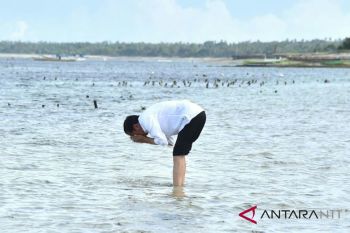 Ketika Jokowi basuh wajahnya dengan air laut