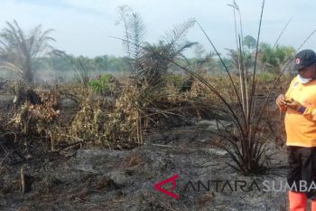 Upaya pemadaman kebakaran perkebunan sawit di Agam terkendala lokasi