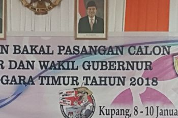 KPU NTT mendata pemilih tanpa identitas
