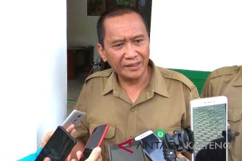 Ternyata! Ini Akibat Buaya Muara Kembali Beringas